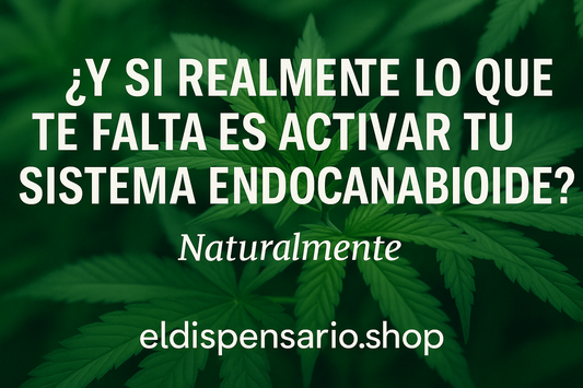 ¿Y si lo que realmente te falta es activar tu Sistema Endocannabinoide?