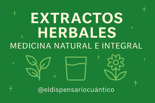 El Poder de los Extractos Botánicos: Medicina Natural para Cuerpo, Mente y Energía 🌿✨