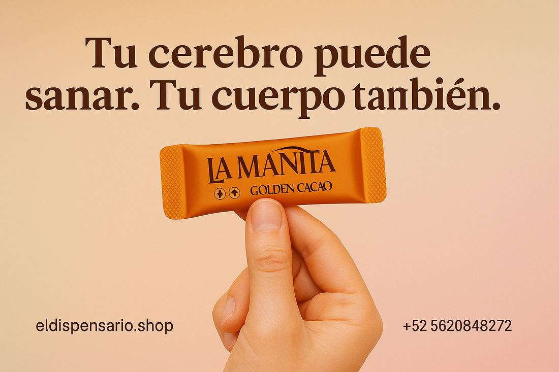 🍄 ¿Qué pasa en tu cuerpo cuando tomas microdosis de psilocibina?